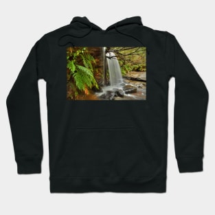 Ferns & flow at Girrakool Hoodie